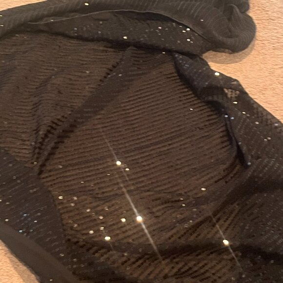 Black sequin saree - Picture 11 of 12